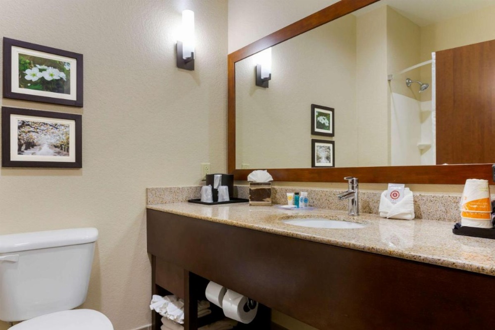 Comfort Suites Little Rock Image 18